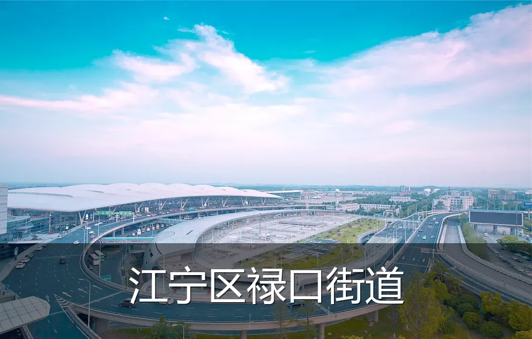 江宁区禄口街道